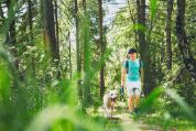 Mann in Frühlingsbekleidung spaziert mit seinem Golden Retriever durch einen grünen Wald Mann in Frühlingsbekleidung spaziert mit seinem Golden Retriever durch einen grünen Wald